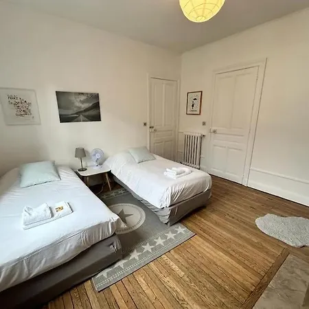 Clou Dans Le Fer Hyper Centre Immeuble Luxueux Reims