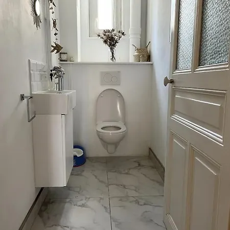 Clou Dans Le Fer Hyper Centre Immeuble Luxueux Reims